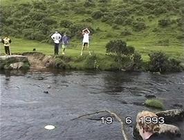 Seb does his best to retrieve the Frisbee from the river